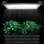 Are Fluorescent Lights the Cheapest Type of Grow Lights