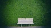 TheLAShop: Indoor/ Outdoor Design: DIY Home Made Grass Walls