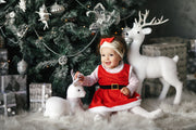 TheLAShop: Create the Perfect Christmas Photo: Beginner Ring Light Set-Up Tips