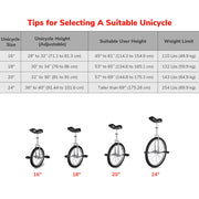 TheLAShop 16 inch Wheel Unicycle Multiple Color Image