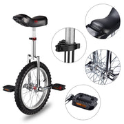 TheLAShop 16 inch Wheel Unicycle Multiple Color, Silver Image