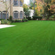 TheLAShop 65x3ft Artificial Grass Fake Turf Synthetic Pet Turf Roll (Preorder)