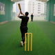 TheLAShop Cricket Pitch Mat Oudoor Indoor Practice Turf (3/8"H Pile) Image