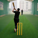 TheLAShop Cricket Pitch Mat Outdoor Indoor Practice Turf (3/8"H Pile) Image