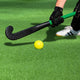 TheLAShop Sport Turf for Field Hockey Backyard Practice (13/16"H Pile) Image