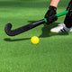 TheLAShop Sports Turf for Field Hockey Backyard Practice (13/16"H Pile) Image