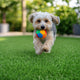 TheLAShop Artificial Turf for Dog Kennels (13/16"H Pile) Image
