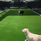 TheLAShop Dog Run Turf Outdoor Artificial Grass (13/16"H Pile) Image
