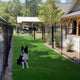 TheLAShop Artificial Turf for Dog Kennels (13/16"H Pile) Image