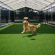 TheLAShop Artificial Grass for Dog Kennels (1 3/8"H Pile) Image