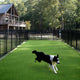 TheLAShop Artificial Grass for Dog Kennels (1 3/8"H Pile) Image