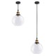 TheLAShop Clear Globe Glass Ball Pendant Light Ceiling Lamp 9 4/5" Image
