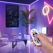 TheLAShop LED Neon Light RF Remote & Controller AC110V