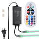 TheLAShop RGBW LED Neon Light Controller & RF Remote 110V, 2-way Image