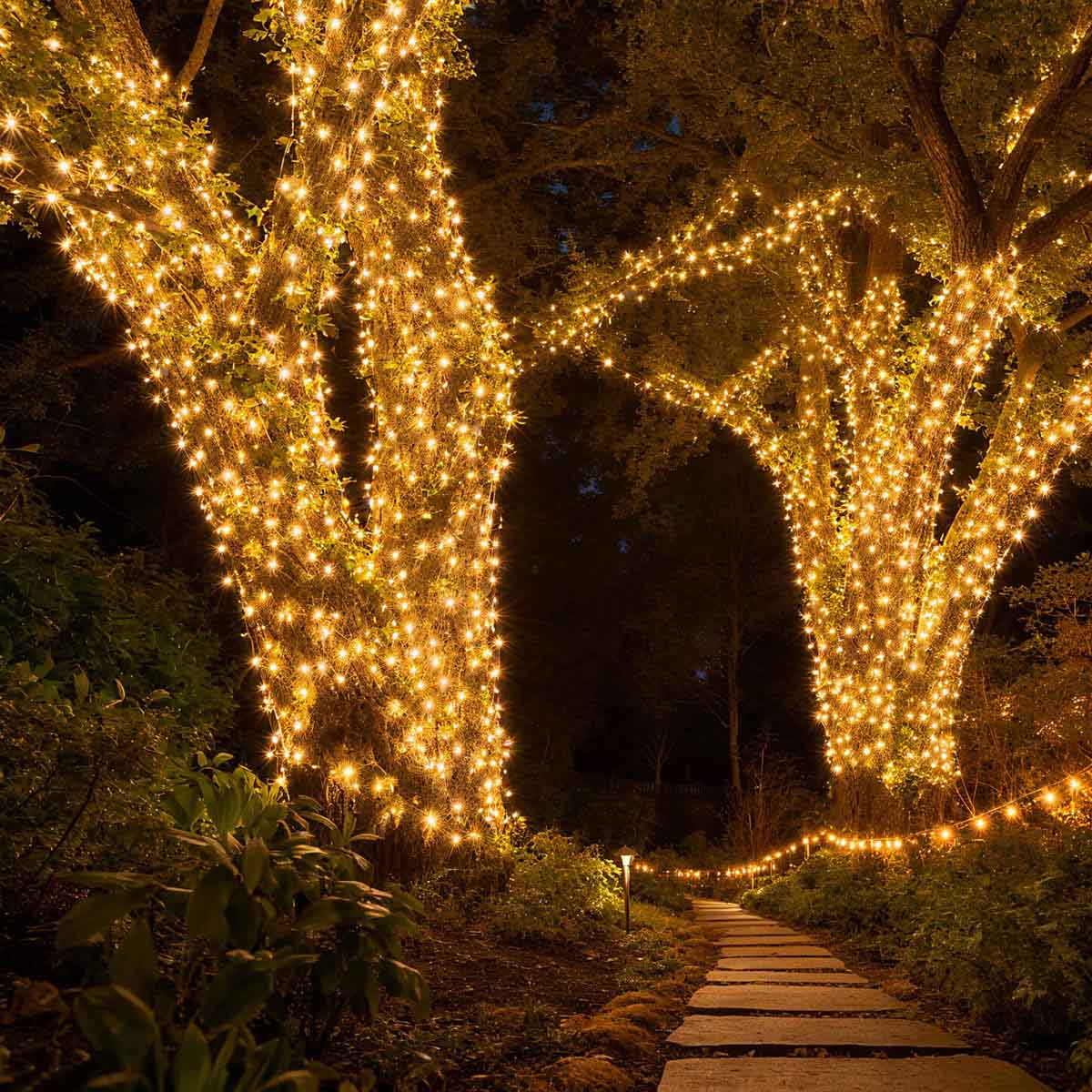 can you use christmas lights to grow plants TheLAShop 200ft Outdoor String Light for Porch, Tree Trunk Wrap 4x50ft 110V
