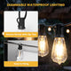 TheLAShop 200ft Outdoor String Light ST38 LED Filament Bulbs 120V 2700K Image
