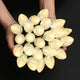 TheLAShop Faceted C9 LED Christmas Light Bulbs 25ct/pk Image
