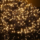 TheLAShop 40x10ft Commercial Grade Vertical String Curtain Lights 120V Image