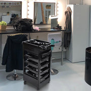 TheLAShop 5-Drawer Color Tray for Hair Salon Trolley Cart on Wheels Image