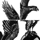 TheLAShop Deluxe Flagpole Eagle Ball Toppers Ornament Image