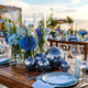 TheLAShop Blue Disco Ball for Mamma Mia Party Ocean Wedding Image