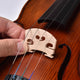 TheLAShop Violin Bridge & Strings with Ball-End (GDAE) Image