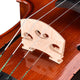 TheLAShop BV250 4/4 Full Size Maple Wood Advanced Violin & Case Image