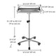 TheLAShop Mayo Instrument Stand with Removable Tray 5 Casters Image