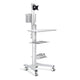 TheLAShop NexusX PC Mobile Cart Rolling Computer Workstation Stand, Silver Image