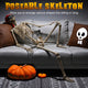 TheLAShop Life Size 5.6ft Posable Skeleton Halloween Pirate Outdoor Decor, Pirate Image