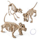TheLAShop Halloween Skeleton Dog, Mermaid, Owl, Vulture, Bat, Spider Options, Dog 3ct/pk Image