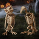 TheLAShop Halloween Skeleton Dog, Mermaid, Owl, Vulture, Bat, Spider Options Image