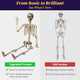 TheLAShop Life Size 5.6ft Posable Skeleton Halloween Prop Outdoor Decor Image