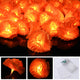 TheLAShop 10' Halloween Marigold Lights 20 LEDs Garland Day of Dead, 2ct. Image