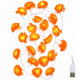 TheLAShop 20' Halloween Marigold Lights 40 LEDs Garland Day of Dead, 2ct. Image