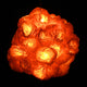 TheLAShop 20' Halloween Marigold Lights 40 LEDs Garland Day of Dead, 2ct. Image