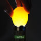 TheLAShop 5W Cool Light LED Handheld Egg Candler Egg Tester Torch