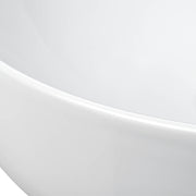Aquaterior 16" Bowl Bathroom Sink with Drain & Tray