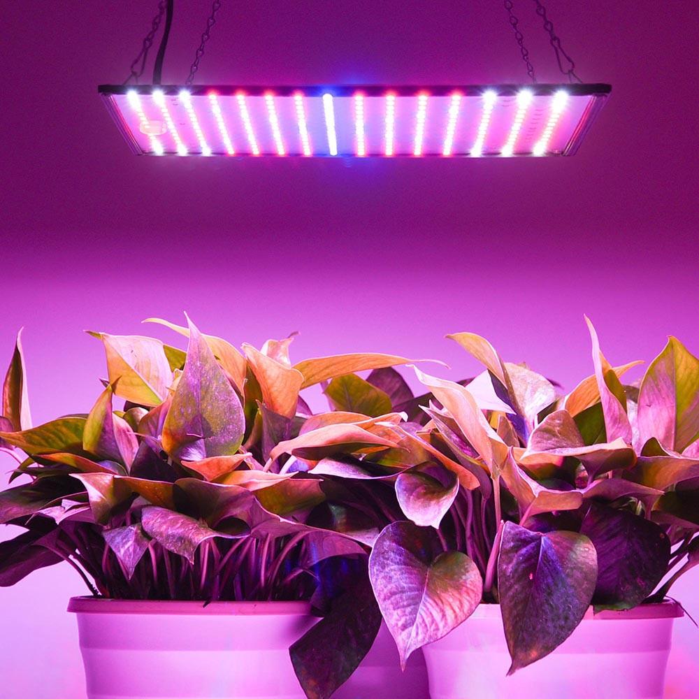 TheLAShop 225 Ultrathin Blue Red Orange White LED Plant Grow Light