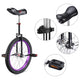 TheLAShop 20 inch Mountain Bike Unicycle Single Wheel Bike Purple Rim Image