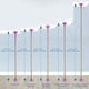 TheLAShop Iridescent Dance Pole Static and Spinning Dance Pole 45mm, 12ft Image
