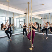 TheLAShop Brass Pole Spinning & Static Dancing Pole Golden Image