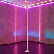 TheLAShop Brass Pole Spinning & Static Dancing Pole Golden Image