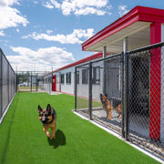TheLAShop Dog Run Turf Outdoor Kennel Artificial Grass (3/8"H Pile) Image