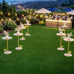 TheLAShop Artificial Grass for Weddings, Cocktail Parties (13/16"H Pile) Image