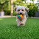 TheLAShop Dog Run Turf Outdoor Artificial Grass (13/16"H Pile) Image