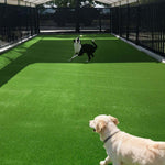 TheLAShop Dog Run Turf Outdoor Artificial Grass (13/16"H Pile) Image