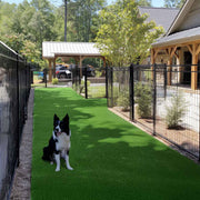 TheLAShop Dog Run Turf Outdoor Artificial Grass (13/16"H Pile) Image