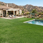 TheLAShop Artificial Turf Roll 4-Color Fescue & Thatch Grass, 1.38" Pile Image
