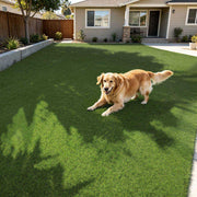 TheLAShop Artificial Turf Roll 4-Color Fescue & Thatch Grass, 1.38" Pile Image